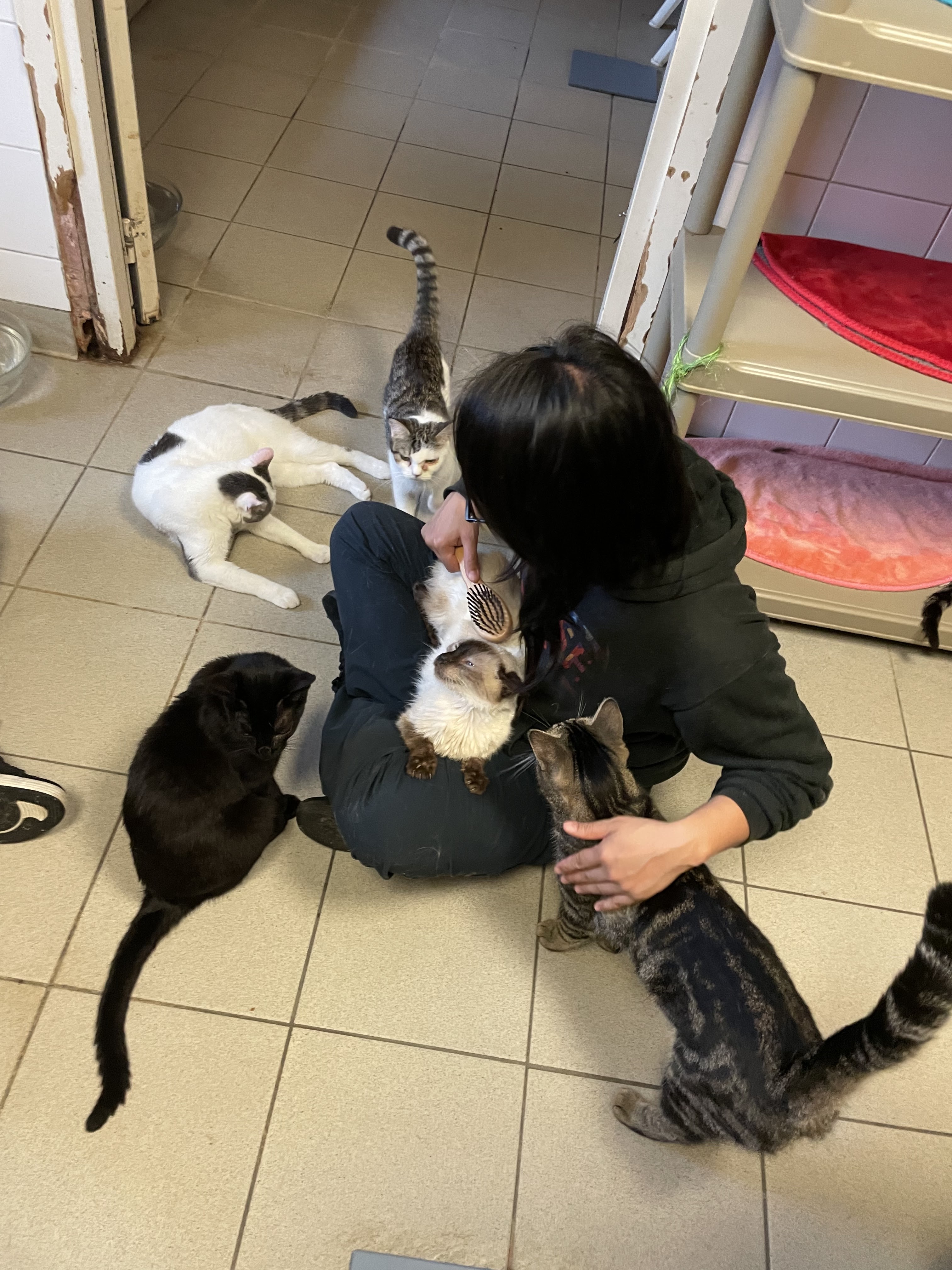 Photo n° 2 de l'avis de Jenie.a fait le 13/02/2024 à 13:44