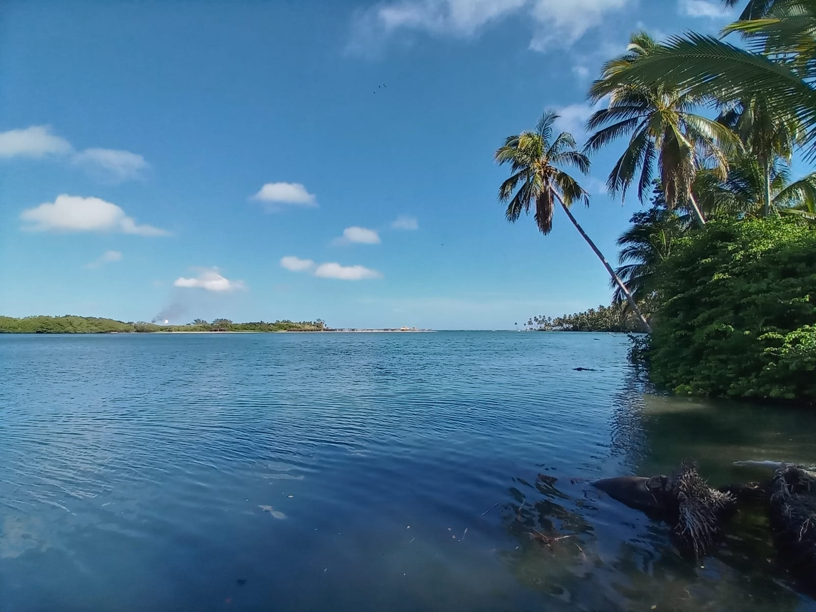 Foto av Playa Paraiso med blått vatten yta