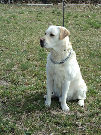 V Centenario Centro Veterinario en Sanlúcar de Barrameda