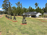 Creative Landscapes, LLC - Photo 4 - Car repair in West Monroe, LA, Monroe