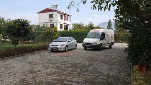 fare tembellik aktif rol hereke hali fabrikasi telefon bilsanatolye com