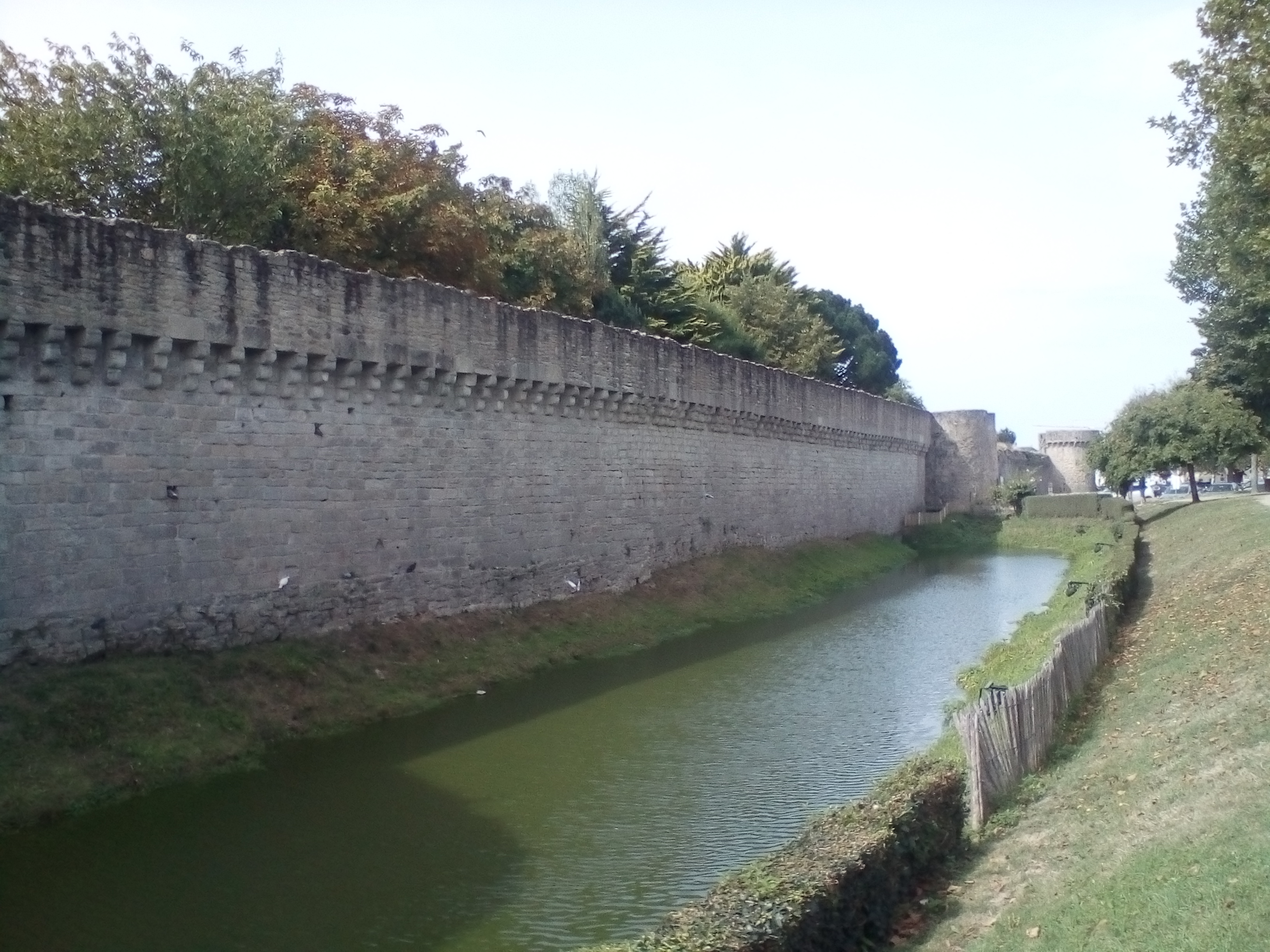 Photo n° 4 de l'avis de Barbé.e fait le 27/08/2018 à 14:14