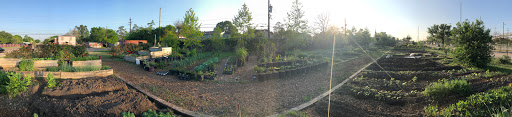 Blodgett Urban Gardens