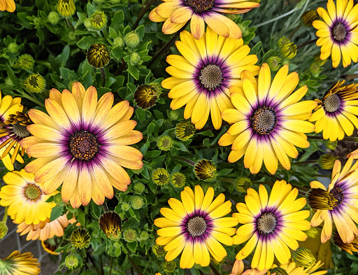 Home Improvement Store «The Home Depot», reviews and photos, 8000 Folsom Blvd, Sacramento, CA 95826, USA