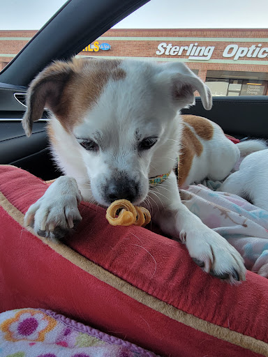 Pet Supply Store «Concord Pet Foods & Supplies», reviews and photos, 19287 Miller Rd, Rehoboth Beach, DE 19971, USA
