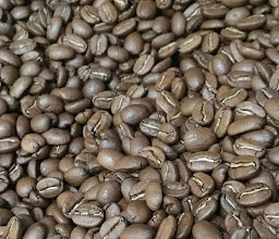 Amorosocafé photo