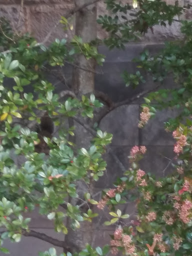 Non-Profit Organization «Urban Ministries of Durham», reviews and photos