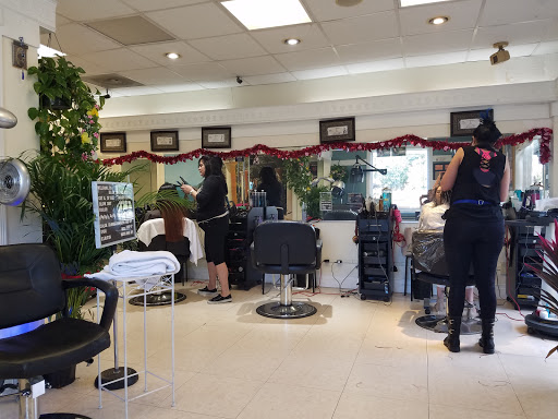 Hair Healers Beauty Salon