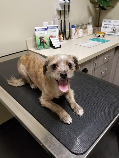 Pet Store «Market Street PET DEPOT», reviews and photos, 2979 S Market St, Gilbert, AZ 85295, USA