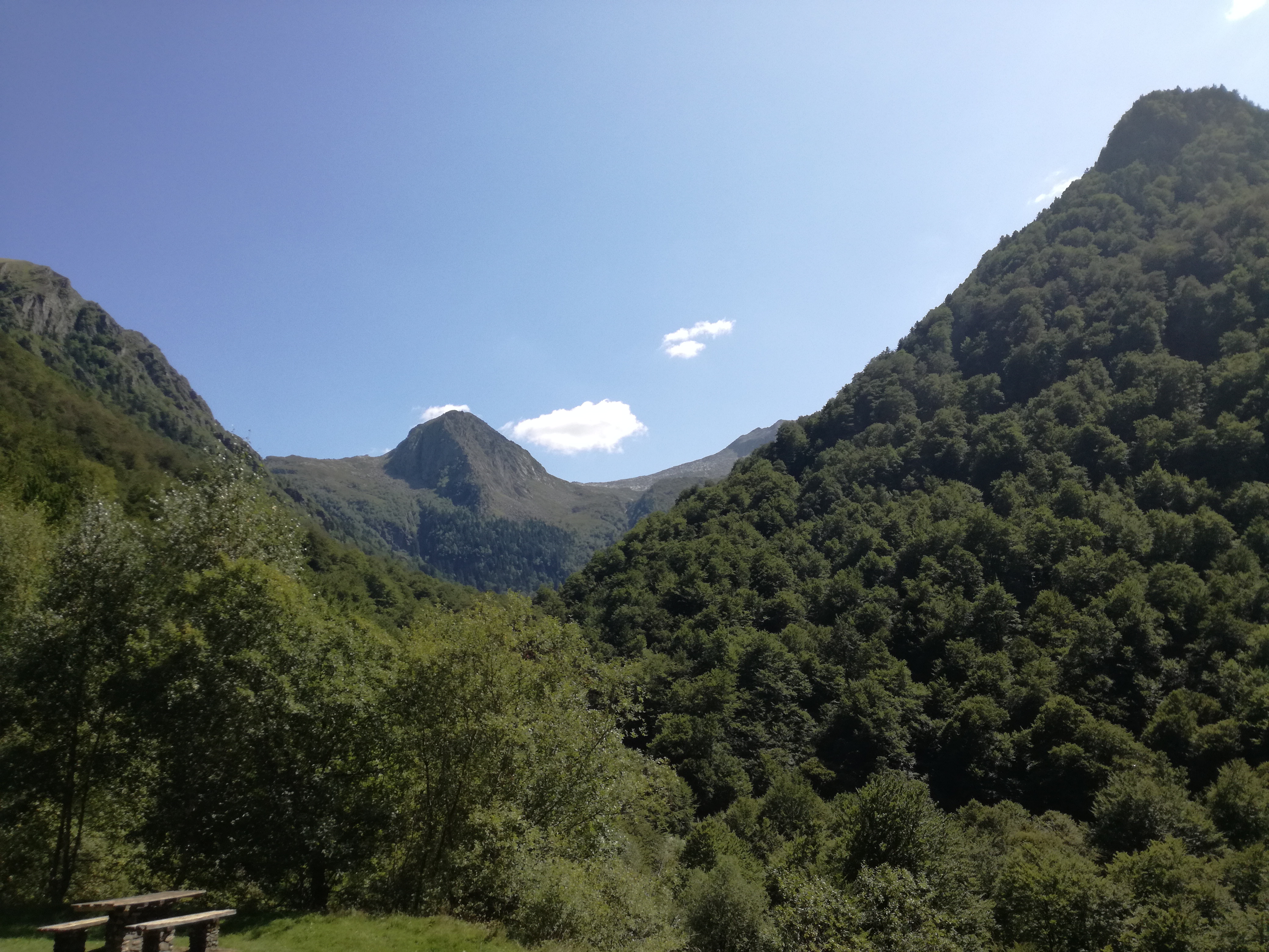 Photo n° 1 de l'avis de kayto.0 fait le 24/08/2019 à 09:15