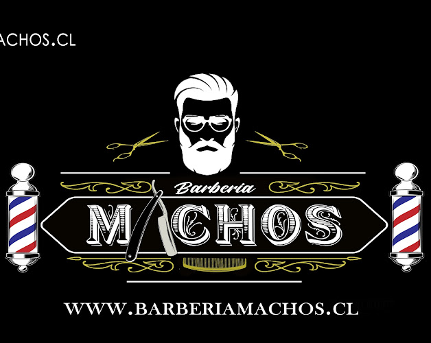 Opiniones de BarberiaMachos en Puente Alto - Barbería
