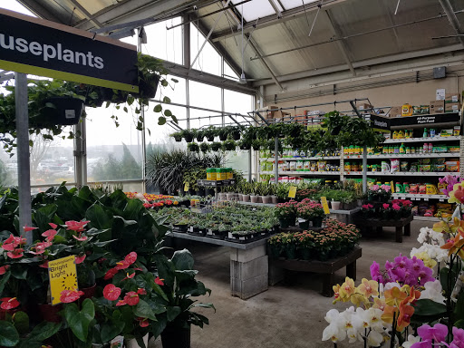 Home Improvement Store «The Home Depot», reviews and photos, 1837 Matthews Township Pkwy, Matthews, NC 28105, USA