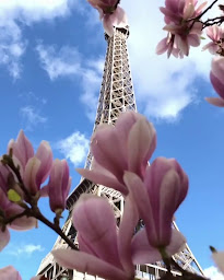Photo n°2 de Blossom à Paris ()