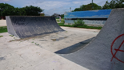 Skate Park The 