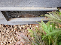 AMPM Exterminators - Photo 4 - Car repair in , Seattle