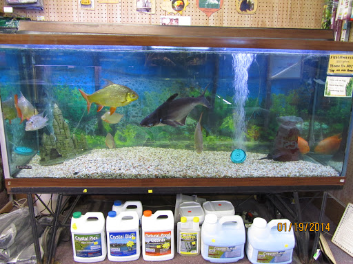 General Store «Pick & Shovel», reviews and photos, 54 Coventry St, Newport, VT 05855, USA