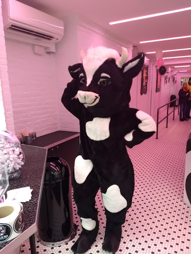 Ice Cream Shop «J.P. Licks», reviews and photos, 150 Charles St, Boston, MA 02114, USA