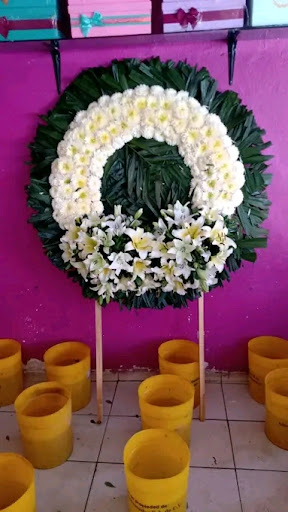 Floreria nidia – Purísima de Bustos