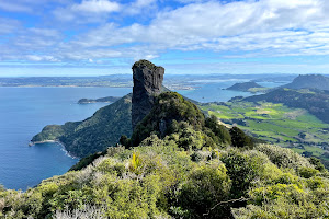 Bream Head (Te Whara) Track Scenic Lookout image