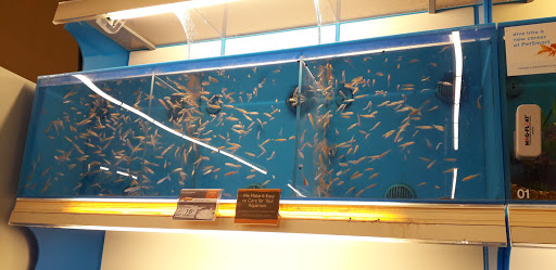 Pet Supply Store «PetSmart», reviews and photos, 4429 Pecanland Mall Dr, Monroe, LA 71203, USA