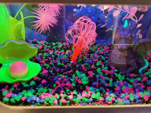 Pet Supply Store «Pet Food Center», reviews and photos, 4036 N First Ave, Evansville, IN 47710, USA