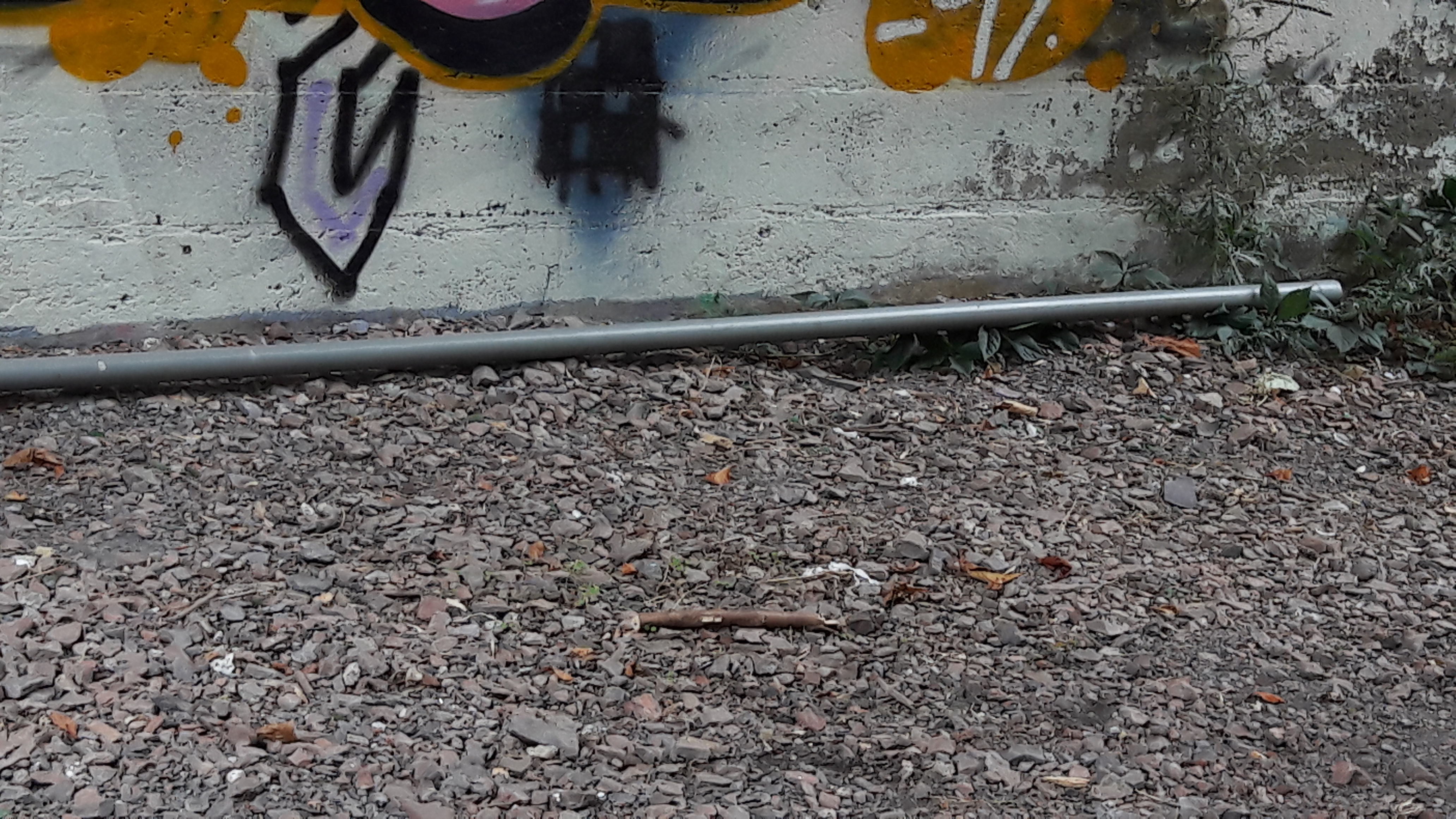 Photo n° 3 de l'avis de Alfa.l fait le 12/09/2019 à 04:09