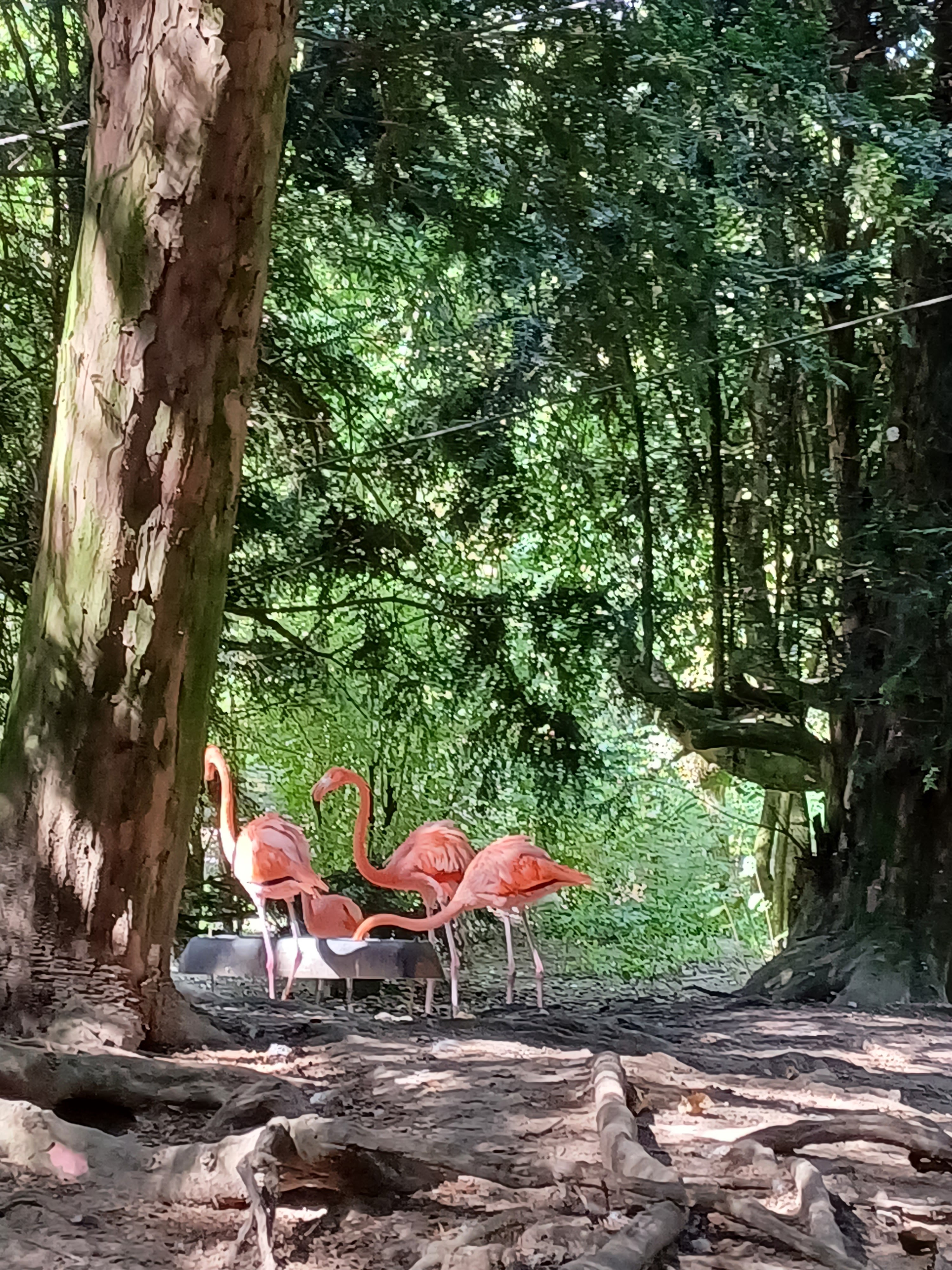 Photo n° 3 de l'avis de Pascale.e fait le 08/09/2021 à 15:53