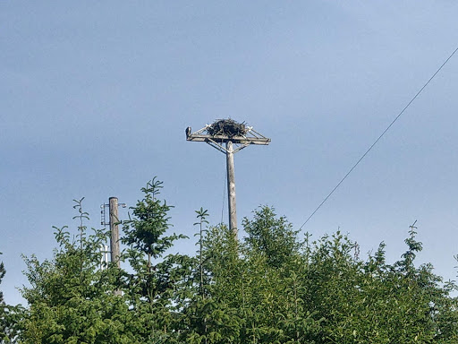 Arena «ShoWare Center», reviews and photos, 625 W James St, Kent, WA 98032, USA