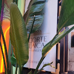 Photo n°1 de l'avis de Roberto.o fait le 06/04/2024 à 22:29 sur le  Ginger - Corte Laica à Rome