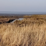 Photo n°1 de l'avis de Heike.� fait le 30/01/2018 à 16:07 sur le  Sehestedt NATIONALPARK à Jade