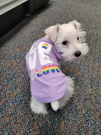 Pet Store «Friendly Pets», reviews and photos, 625 Friendly Center Rd, Greensboro, NC 27408, USA