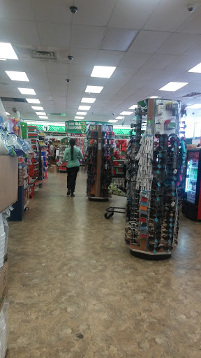 Dollar Store «Dollar Tree», reviews and photos, 9055 Biscayne Blvd, Miami Shores, FL 33138, USA