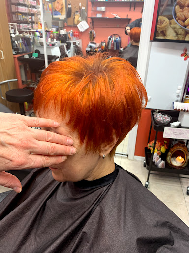 Beauty Salon «Signature Hairstyle Beauty Salon», reviews and photos, 10526 Old Olive Street Rd, Creve Coeur, MO 63141, USA