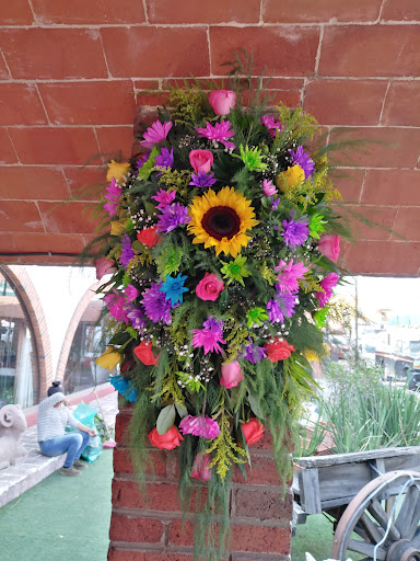 Floreria iris – Tepotzotlán