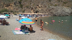 Paralia Chalkos'in fotoğrafı imkanlar alanı