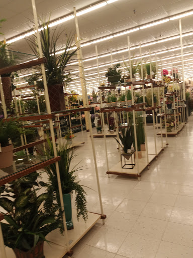 Craft Store «Hobby Lobby», reviews and photos, 840 E Rollins Rd, Round Lake Beach, IL 60073, USA