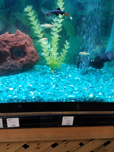 Garden Center «A W Brown Pet & Garden», reviews and photos, 144 Shaker Rd, East Longmeadow, MA 01028, USA