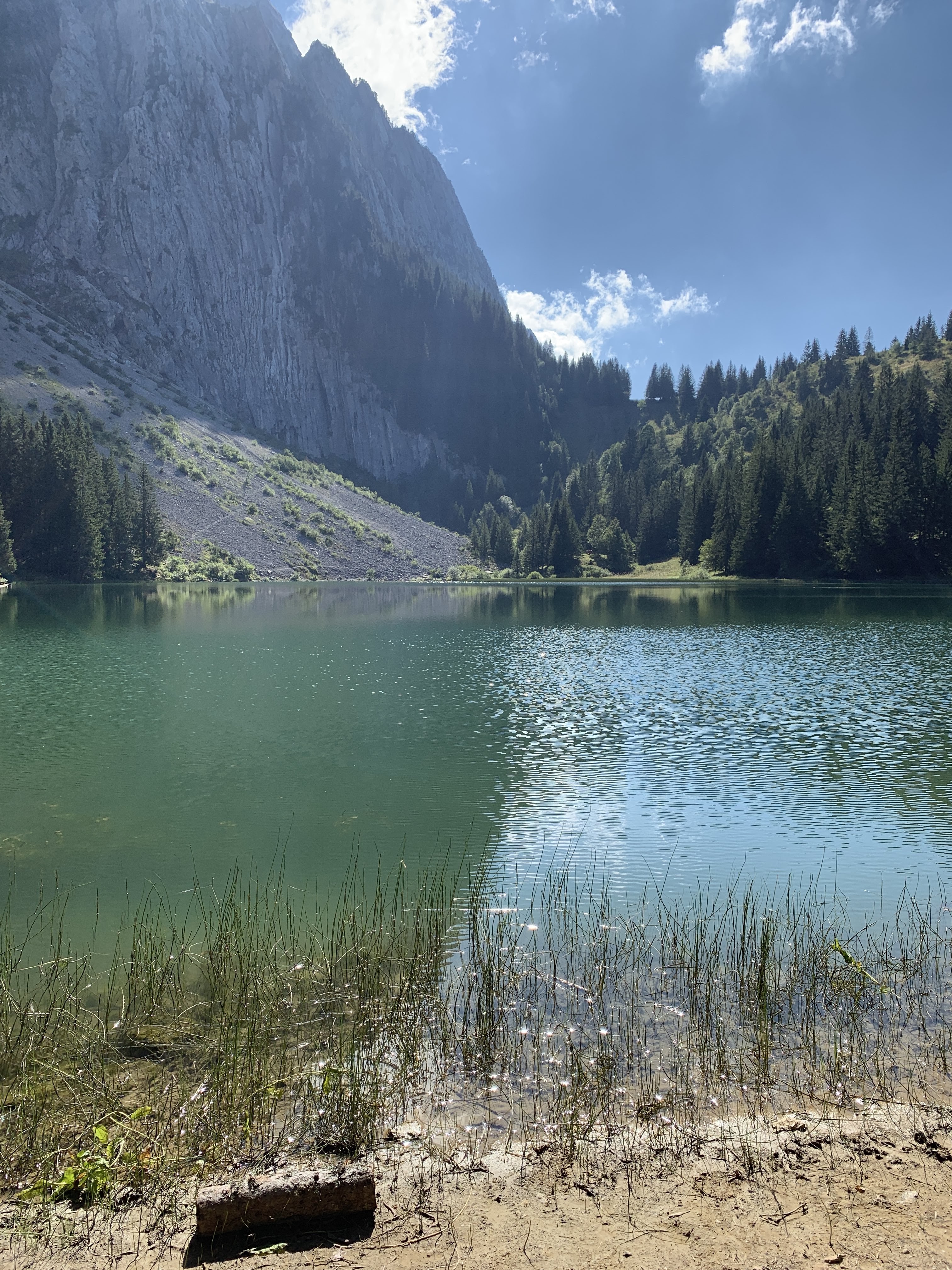 Photo n° 2 de l'avis de Alexandre.c fait le 08/09/2019 à 00:03