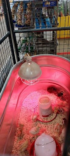 Home Improvement Store «Tractor Supply Co.», reviews and photos, 3790 Teays Valley Road, Hurricane, WV 25526, USA