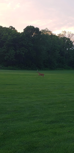 Golf Course «Meadowlark Golf Course», reviews and photos, 11599 31st St, Hinsdale, IL 60521, USA