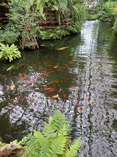 Park «Garfield Park Conservatory», reviews and photos, 300 N Central Park Ave, Chicago, IL 60624, USA