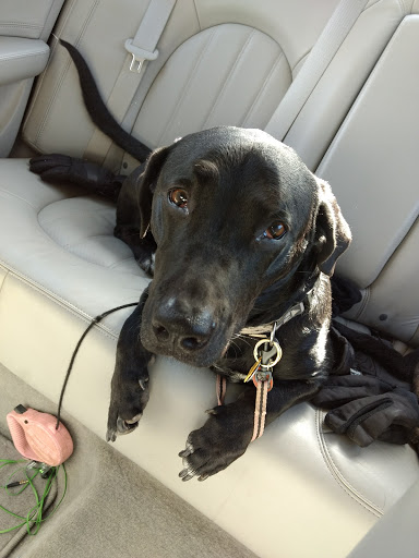 14790 Bandera Rd, Helotes, TX 78023, USA