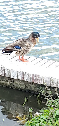 GrayRobinson Lakeland Law Firm - Photo 9 - Car repair in Lakeland, FL, Lakeland