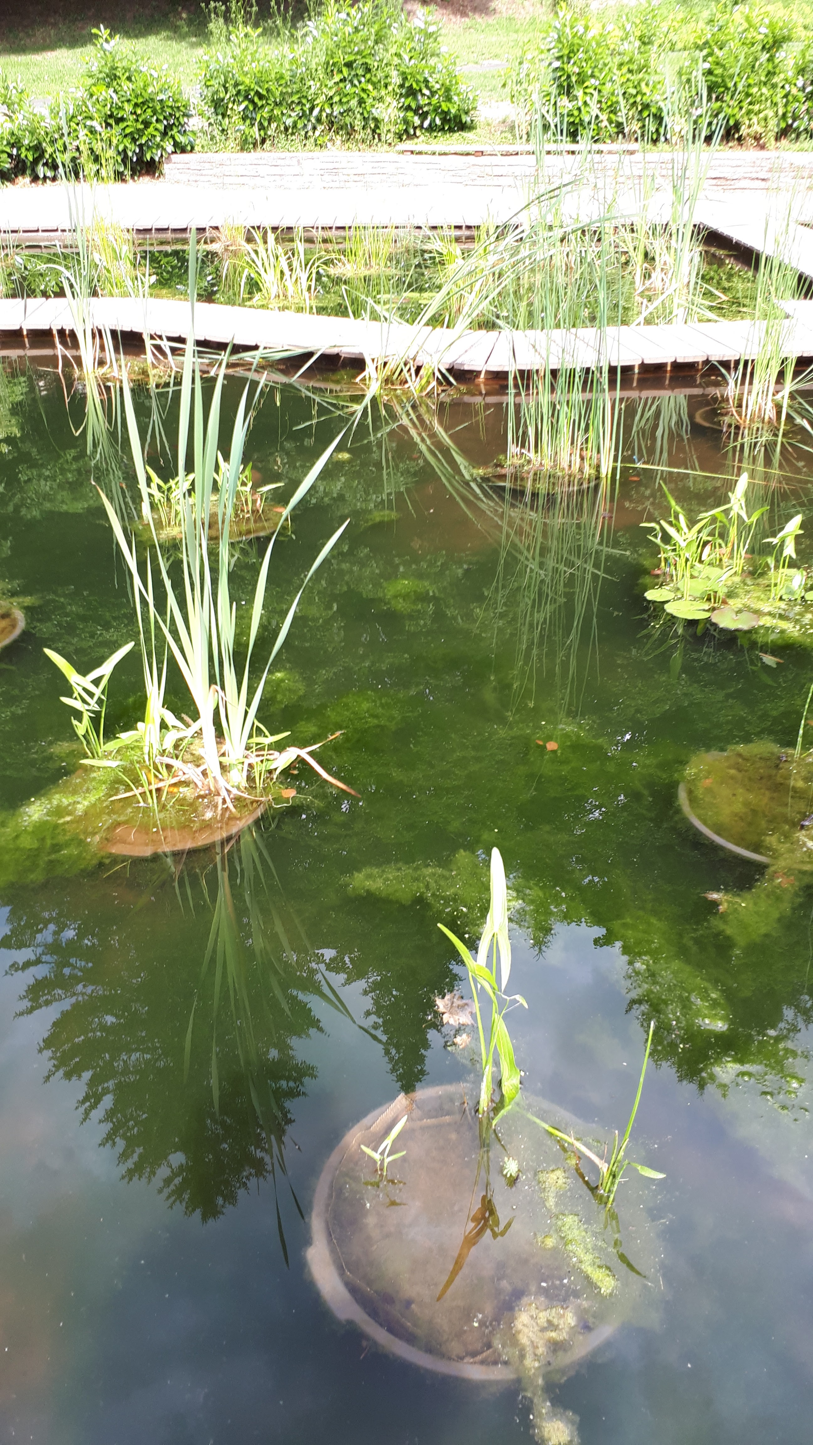 Photo n° 5 de l'avis de Charton.n fait le 08/07/2019 à 14:58