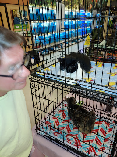 Pet Supply Store «PetSmart», reviews and photos, 11331 Causeway Blvd, Brandon, FL 33511, USA