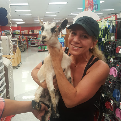 Pet Supply Store «Petco Animal Supplies», reviews and photos, 8111 W Broward Blvd, Plantation, FL 33324, USA