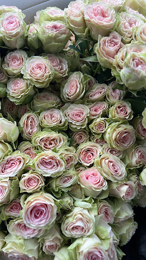 Florist «Design Works Flowers», reviews and photos, 624 N Main St, Rochester, MI 48307, USA