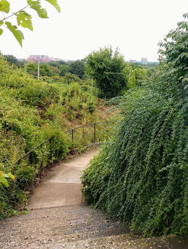 Museum «The George Washington Masonic National Memorial», reviews and photos, 101 Callahan Dr, Alexandria, VA 22301, USA