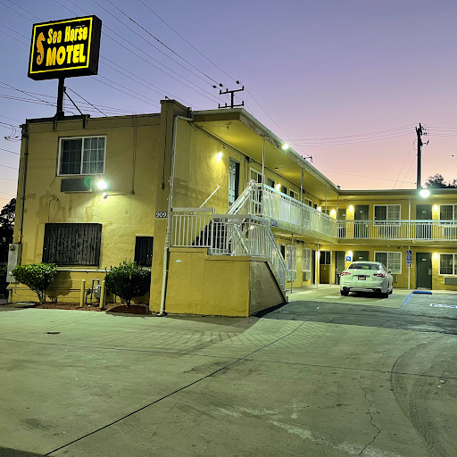 Seahorse Motel