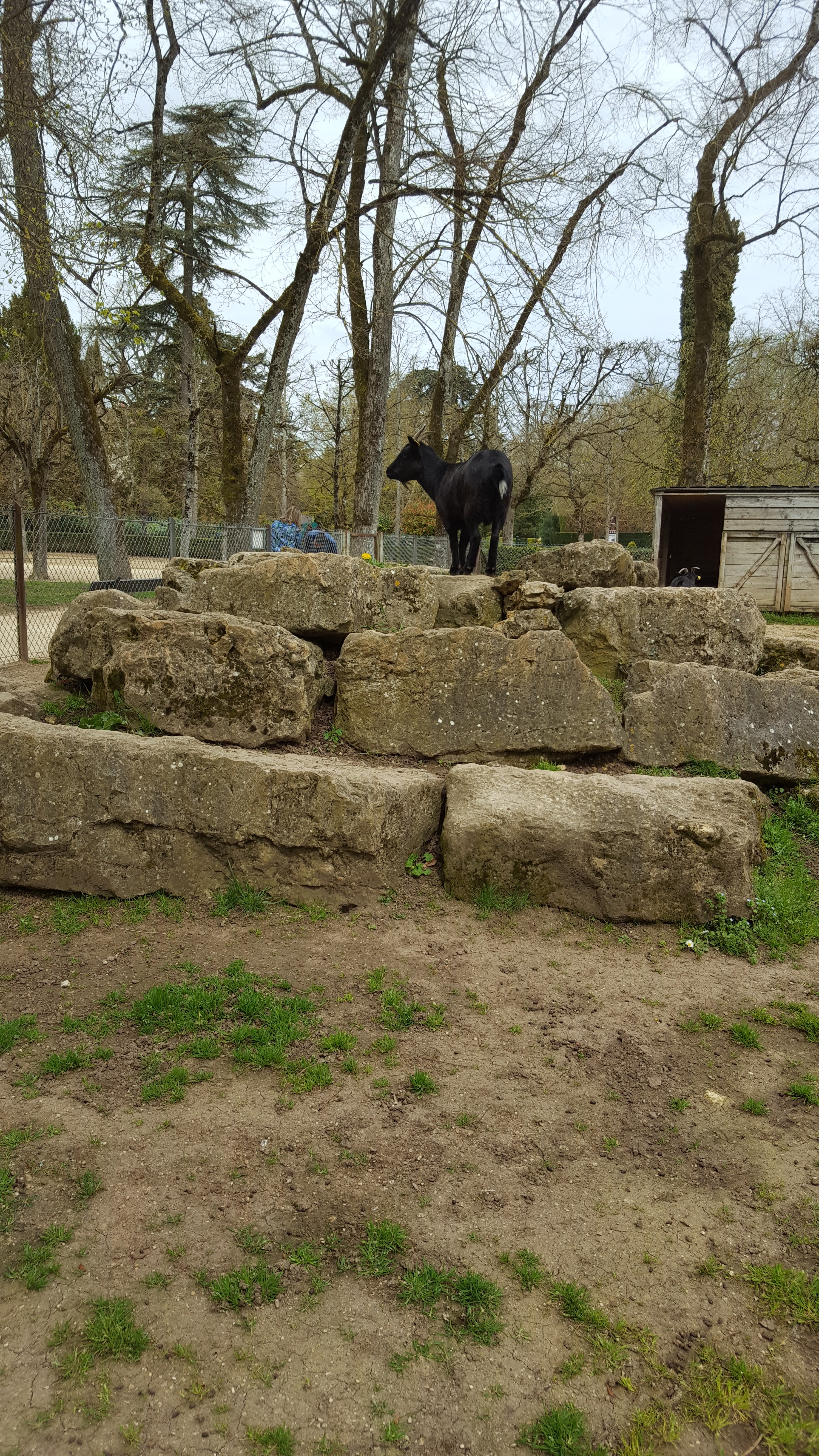 Photo n° 2 de l'avis de Emeline.e fait le 24/04/2018 à 13:16